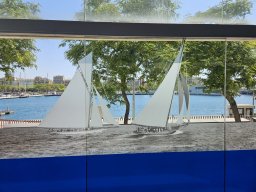 Esposizione